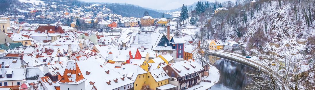 Vienna in Winter