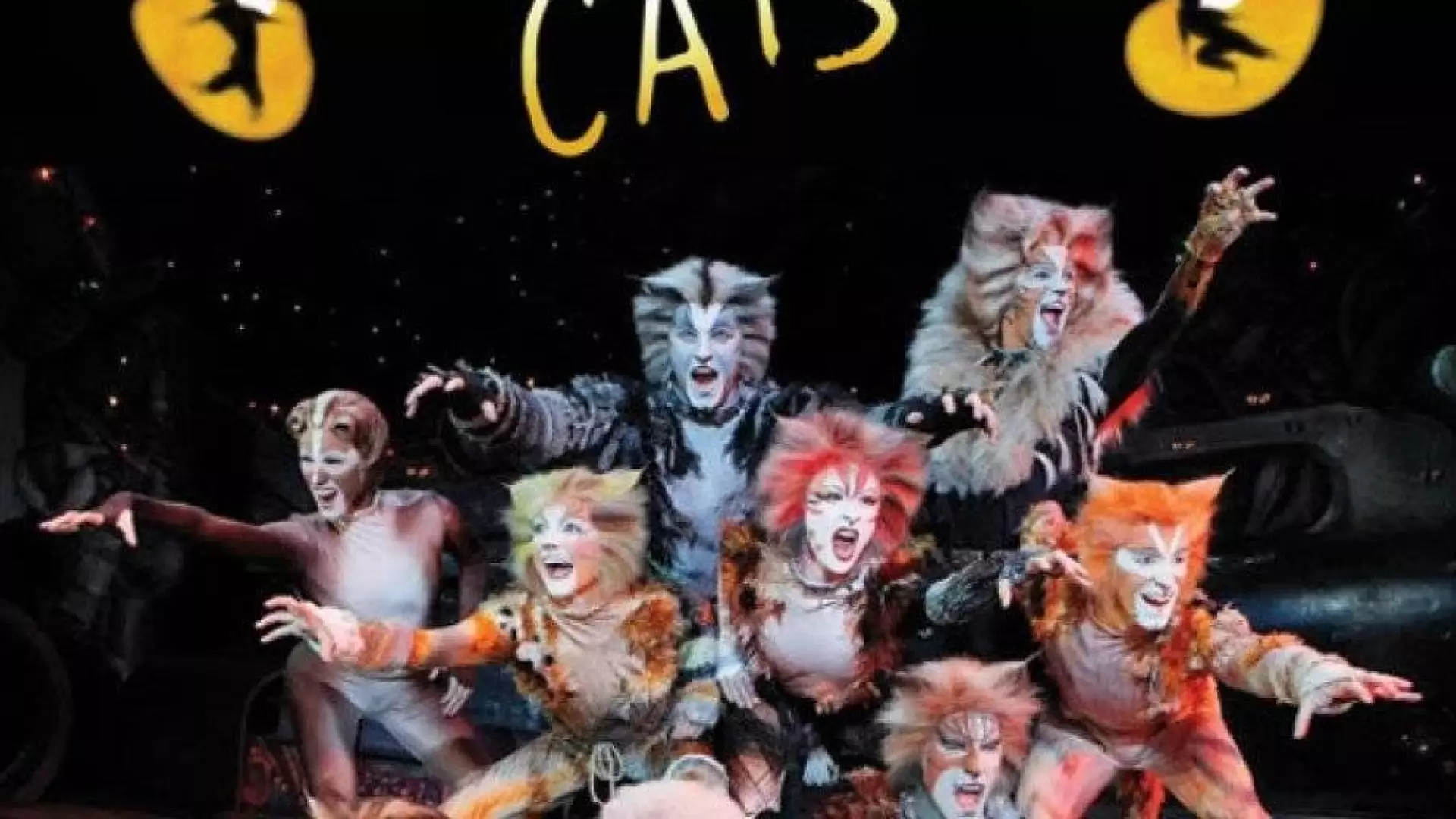 Cats paramount theatre peoria charter travel
