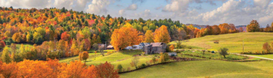 Stowe, Vermont - Fall Foliage