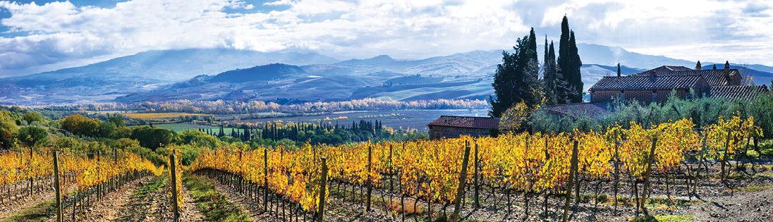 Tuscan vineyard and hills