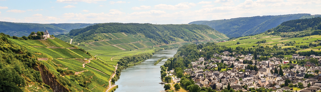 The Rhine River