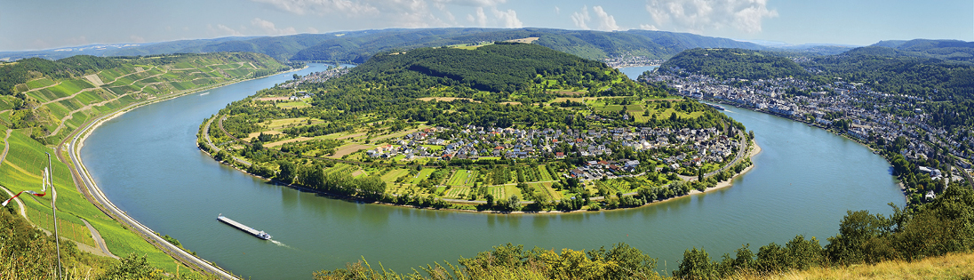 The Rhine River
