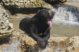 St. Louis Zoo - St. Louis, MO