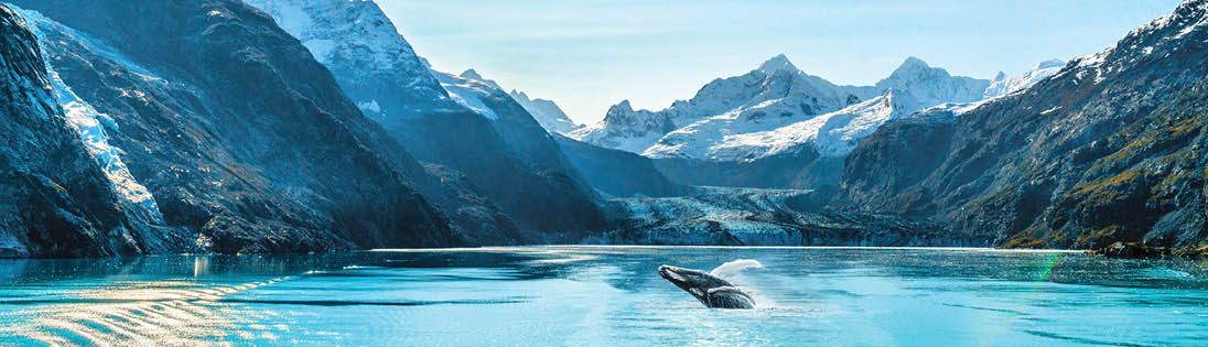 Cruising Inside Passage