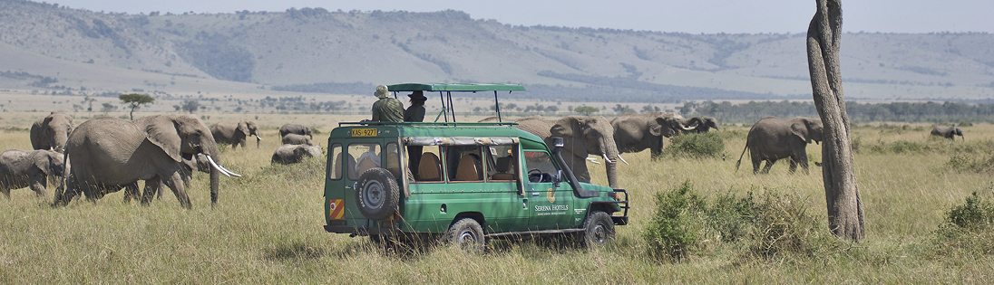 Shaba Reserve, Kenya