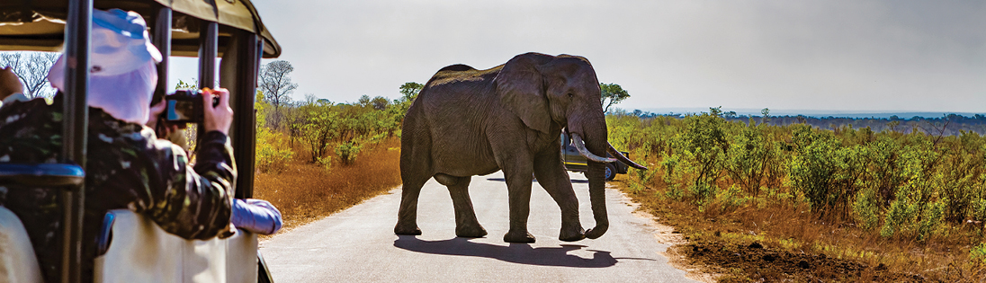 Safari in Kuger Nat Park