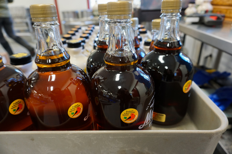 Maple Syrup Bottles