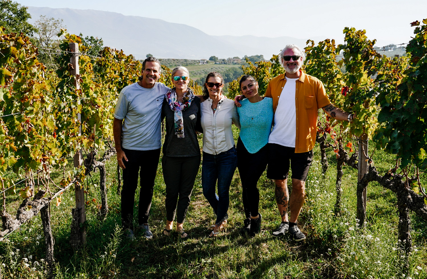 Tour local vineyards