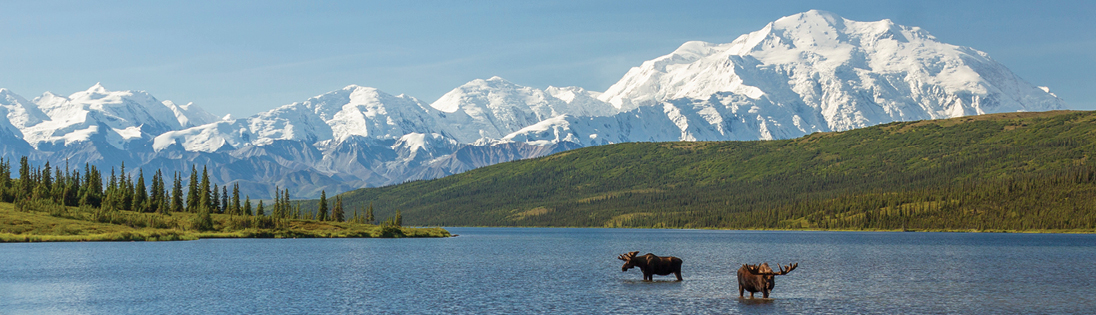 Denali National Park