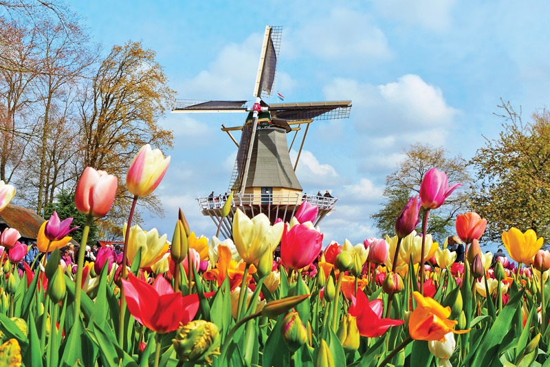 Explore Keukenhaf Gardens