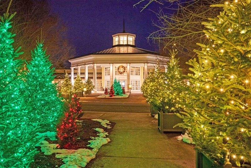 Daniel Stowe Conservatory