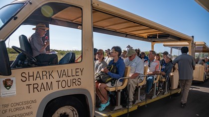 Shark Valley Tram Tour