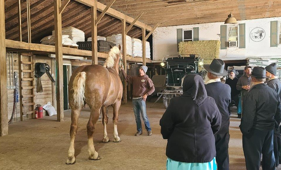 Oak Haven Horse Farm Tour