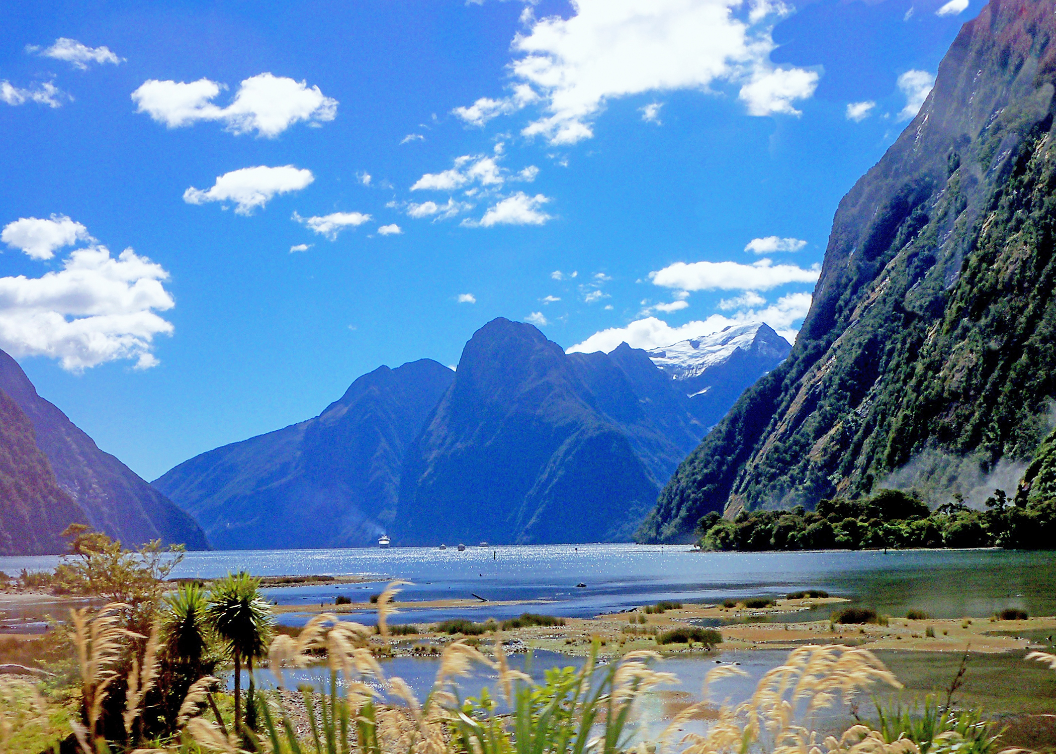Majestic Milford Sound